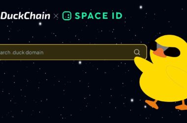 duckchain